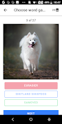 Dogs quiz screenshot 3
