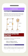 Nervous System Physiology ảnh chụp màn hình 3