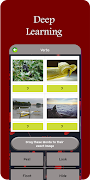 Drag Three ภาพหน้าจอ 1