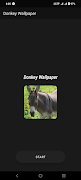 Donkey Wallpaper screenshot 1