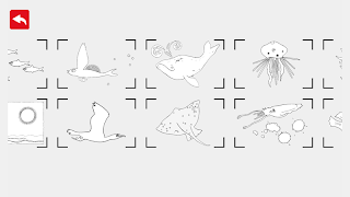 برنامه‌نما BlinkBook عکس از صفحه