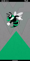 Weeki Wachee Athletics Cartaz