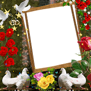 Love Birds Insta DP : Bird DP  Ekran Görüntüsü 4