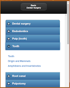 Basic Dental Surgery 截圖 4