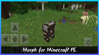 Morph Mod for Minecraft PE скриншот 6