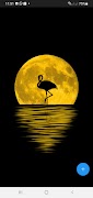 10000 Moon Wallpapers ảnh chụp màn hình 1