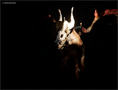 Survive Screenshot 3