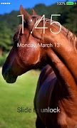 Horses Lock Screen screenshot 7