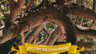 Find a Cat 3: Hidden Object screenshot 6