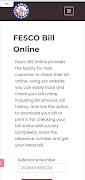 Fesco Bill screenshot 2