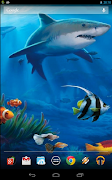 3 Schermata Interactive Shark