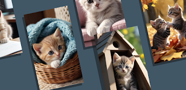 Cute Cat Wallpaper HD screenshot 3