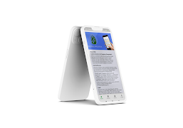 2 Schermata Cise BRIN