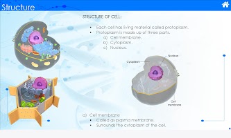 Cell Organelles - Biology Affiche