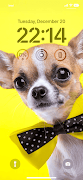 Dog wallpapers 4k screenshot 1