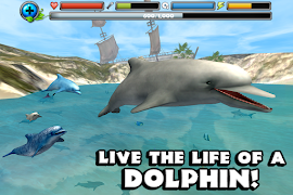 Dolphin Simulator screenshot 1