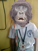 Animal Face Frames 截圖 3
