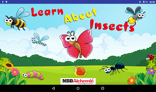 Learn About Insects Affiche