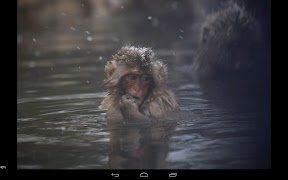 RawDroid Pro screenshot 1