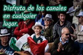 TV Mexico 2024 Ekran Görüntüsü 2