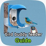 ”bird buddy feeder guide