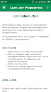 Learn Json Programming screenshot 1