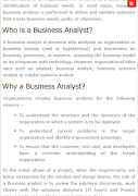 Business Analyst Tutorials скриншот 1