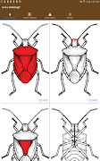 Midwest Stink Bug poster