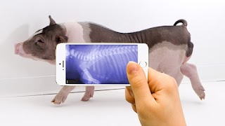 X - Ray Body scanner wallpaper Screenshot 1