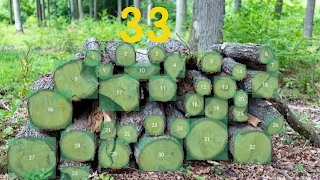 Object counter - count things imagem de tela 3