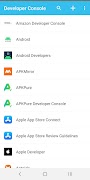 Developer Console पोस्टर