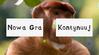 Janusz Simulator Cartaz