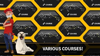 برنامه‌نما Downhill Masters عکس از صفحه