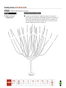 Cherry Pruning screenshot 2