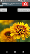 Flower Images Screenshot 5