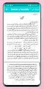 Midhat Islamic Library 截圖 7