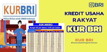 Kredit KUR BRI Panduan Lengkap 截圖 5