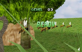 برنامه‌نما Insect Race عکس از صفحه