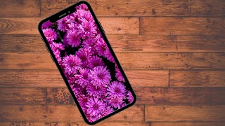 خلفيات ‏ورود ‏وأزهار ‏رائعة 截图 2