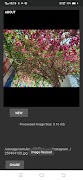 Image Size Reducer - ImageTool Screenshot 7