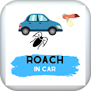 roach in car APK