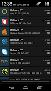 Balance BY Pro screenshot 1