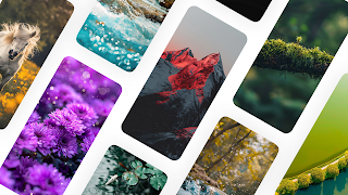 Nature Backgrounds poster