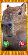 Capybara Funny calling 스크린샷 3