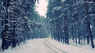 Weather Simulator 截圖 1