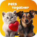 Jugar con mascotas APK
