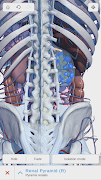 Visual Anatomy 3D - Human স্ক্রিনশট 4