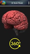 3D menschliches Gehirn Screenshot 1