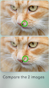 Spot the Difference скриншот 1