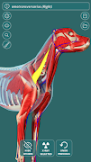Visual Canine Anatomy 3D - lea 스크린샷 1